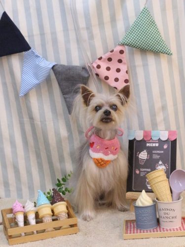 20250524ココちゃん